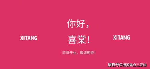 三亞房地產項目詳情咨詢全解析 從區位到投資的全方位指南